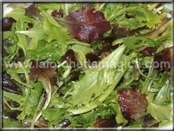 laforchettamagica.com - Condire l'insalata
