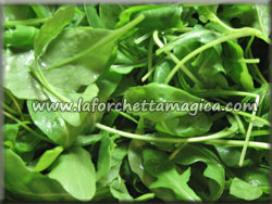 Lavare le foglie di rucola