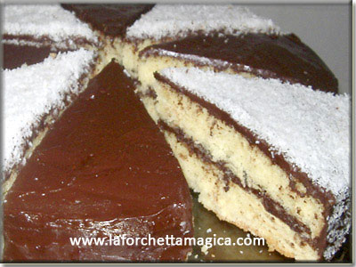 Torta al cocco e cioccolato