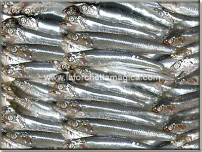 Pulire alici e sardine