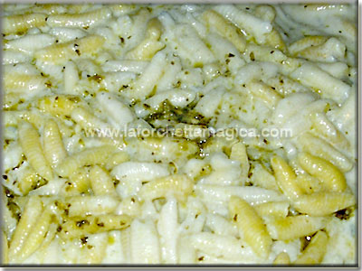 Malloreddus zola e pesto