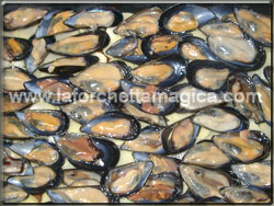 Disporre le cozze