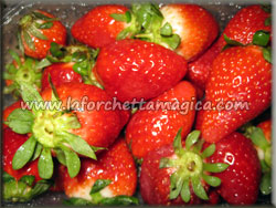 laforchettamagica.com - Ingredienti