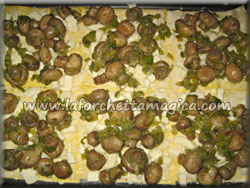 laforchettamagica.com - Distribuire i funghi